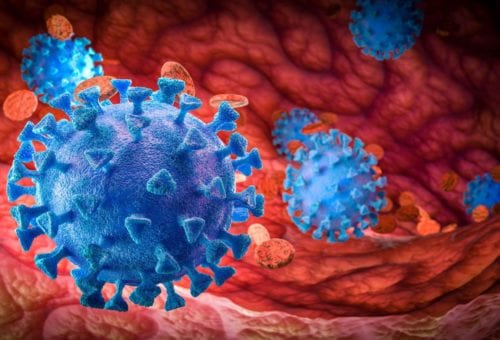 Porn and Coronavirus: How XXX Performers Are Coping