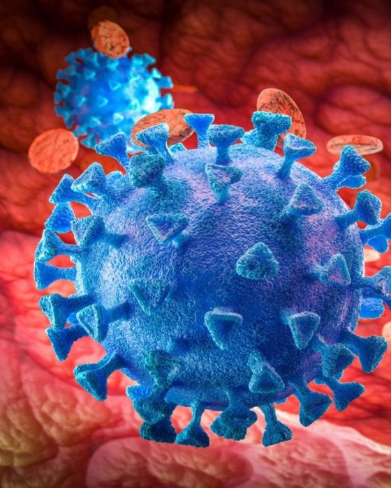 Porn and Coronavirus: How XXX Performers Are Coping