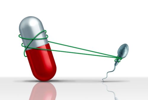 Image: Brain light / Alamy Stock Photo