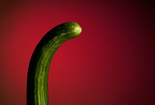 Photo:  fStop Images GmbH / Alamy Stock Photo