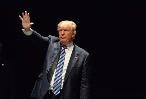 Goodbye, Trump: A Porny Farewell