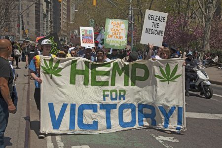 A Hemp Revival Is on the Horizon