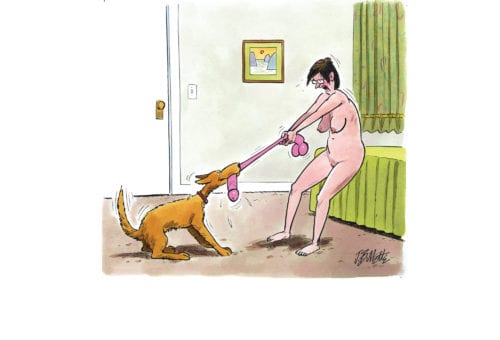 Chew Toys