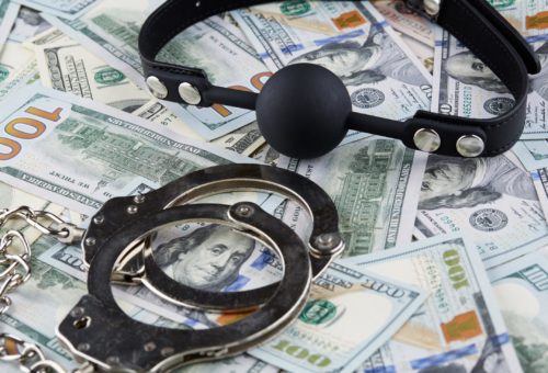 Pricey Pleasure: The Art of Financial Domination