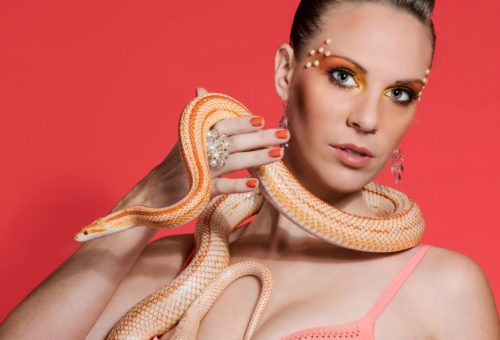 Heavy Petting With Porn Stars