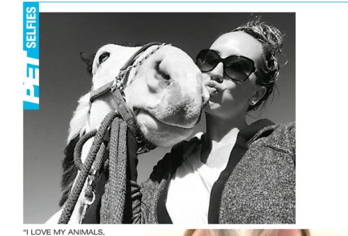 Pet Selfies
