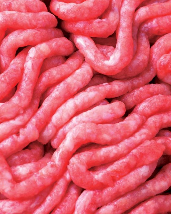 The Future of Food