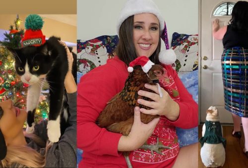 Heavy Petting With Porn Stars: Holiday Edition