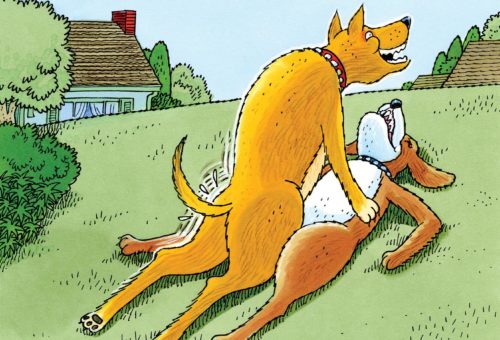 Friday Funnies: Dogging It