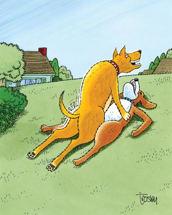 Friday Funnies: Dogging It