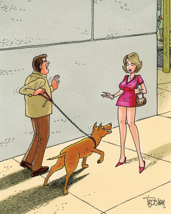 Animal Attraction