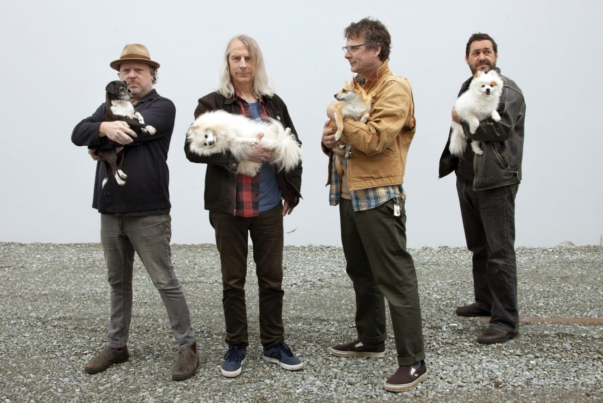 mudhoney steve turner