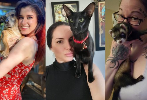 Heavy Petting With Porn Stars Vol. II