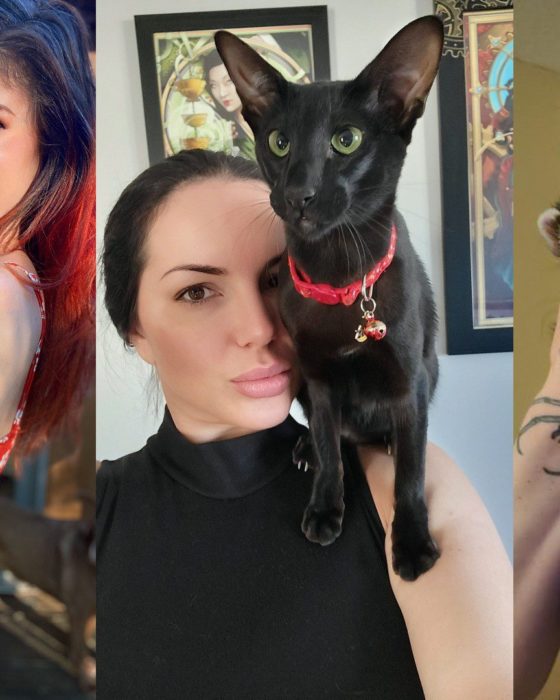 Heavy Petting With Porn Stars Vol. II