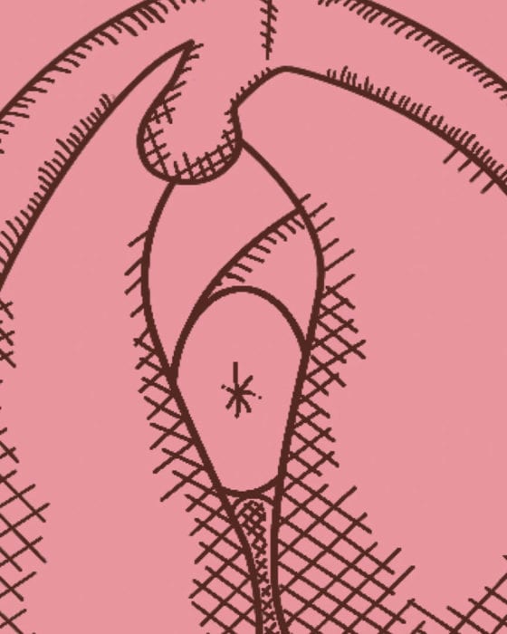 The Power to Heal: Hands-on Sexual Therapies